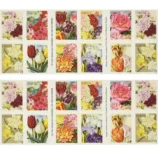 2-22ceb90b-4f05-46b1-828a-56f7c2fe8892-_2