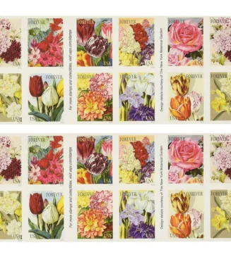 2-22ceb90b-4f05-46b1-828a-56f7c2fe8892-_2