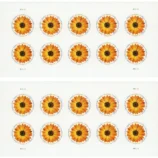 2-28-587a3d72-1636-4897-9a0e-322e1ef2e1c7-_2