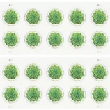 2-4188e0d5-3b69-4ba3-92e2-444a429e2362-_2