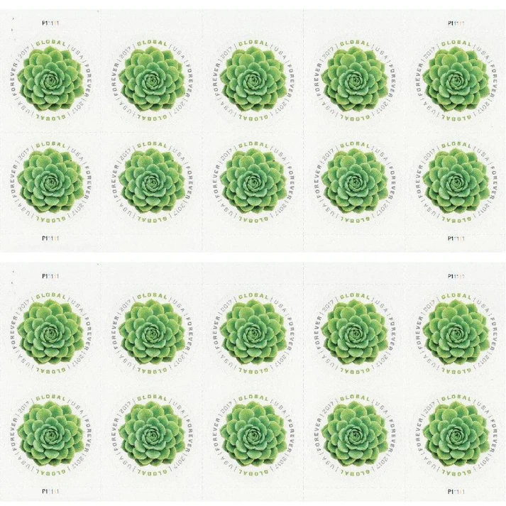 2-4188e0d5-3b69-4ba3-92e2-444a429e2362-_2 2-4188e0d5-3b69-4ba3-92e2-444a429e2362-_2