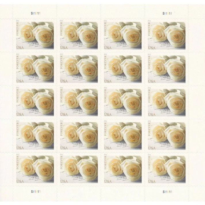 2-ee32cab9-7cf0-4dc4-9dbd-d6dc7f188ef6-_2 2-ee32cab9-7cf0-4dc4-9dbd-d6dc7f188ef6-_2