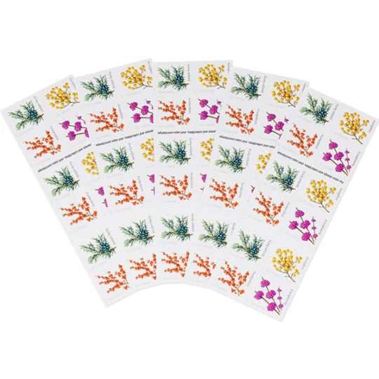 305-1-1_540x_e9bdaf0d-6709-4c31-a064-c3d946a416e4 305-1-1_540x_e9bdaf0d-6709-4c31-a064-c3d946a416e4