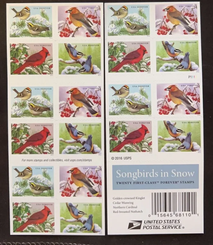 Animal_16_23 Animal_16_23