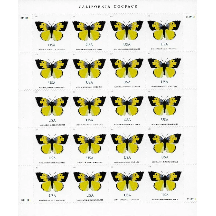 CaliforniaDogface2019-2 CaliforniaDogface2019-2