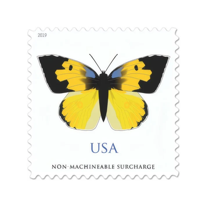 CaliforniaDogface2019 CaliforniaDogface2019