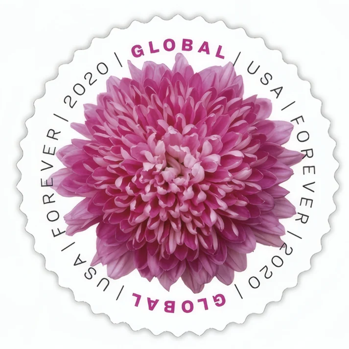 GlobalChrysanthemum2020 GlobalChrysanthemum2020