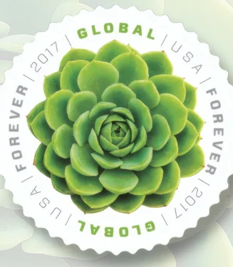 Global Green Succulent 2017