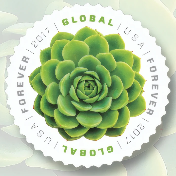 GlobalGreenSucculent2017 GlobalGreenSucculent2017