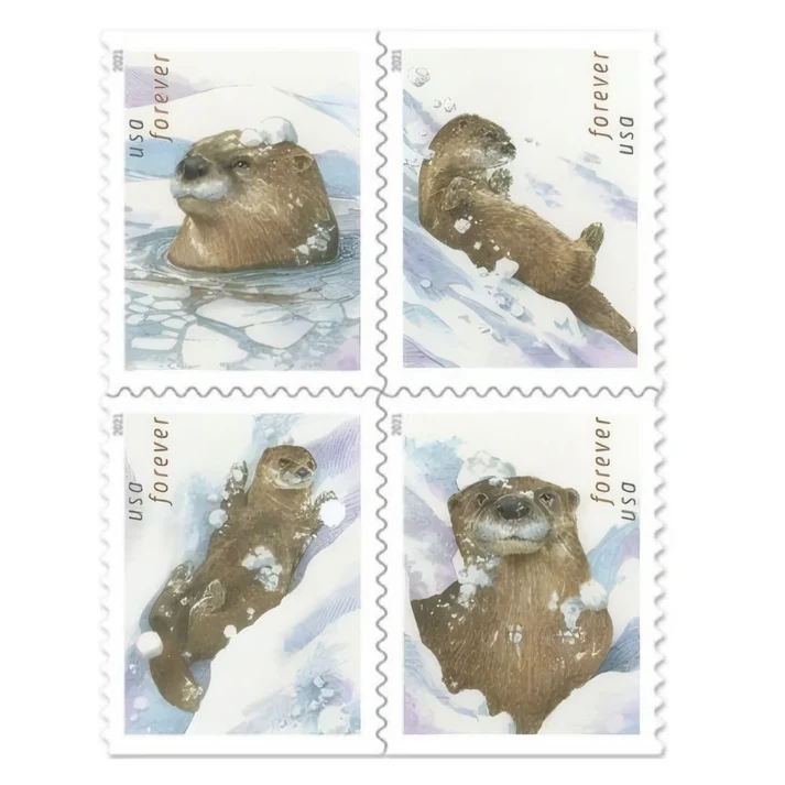OttersinSnow2021 OttersinSnow2021