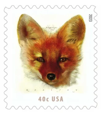 Red Fox 2023