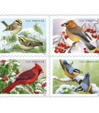 Songbirds in Snow 2016