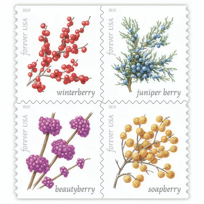 WinterBerries2019 WinterBerries2019