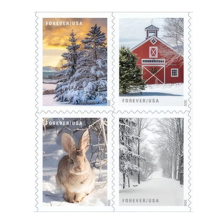 WinterScenes2020 WinterScenes2020