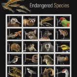 endangered-species