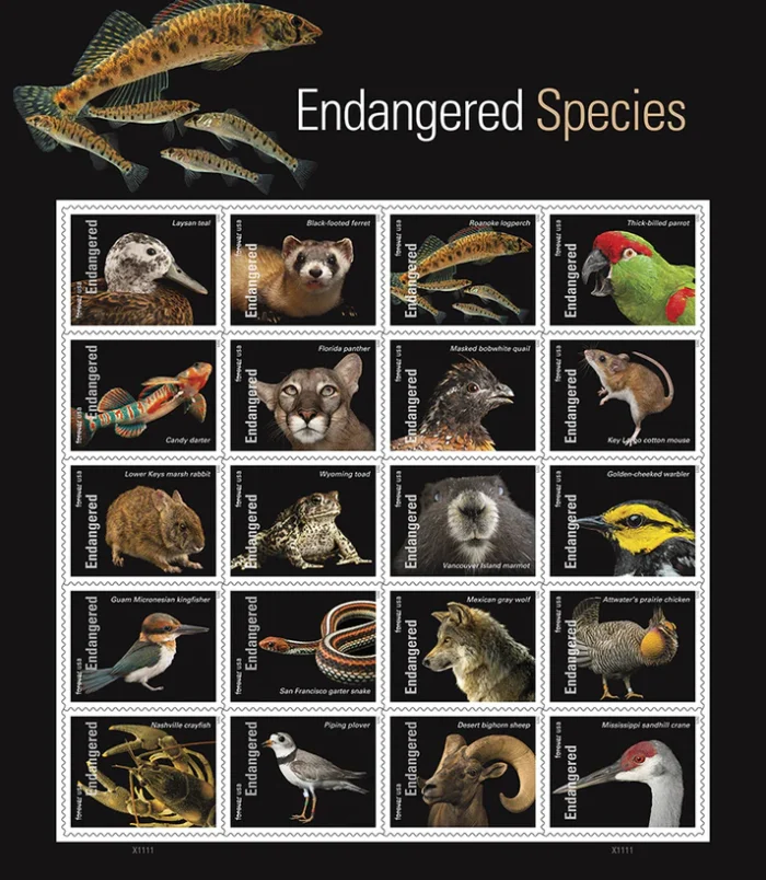 endangered-species