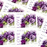 il_nxN.5843128770_1jpi