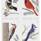 image-5-51c74feb-2061-4405-8c7e-45ee0d907f59-_1