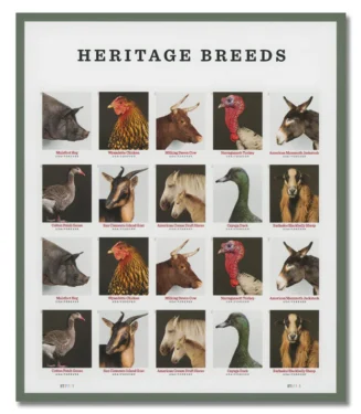 Heritage Breeds 2021