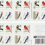 s-l1600_1e5c8c12-a6e7-413f-9540-b7311b583fc8