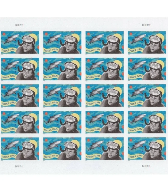 2-2-d55a6f91-86bc-48cd-ab40-ffdd736dccb1-_2 2-2-d55a6f91-86bc-48cd-ab40-ffdd736dccb1-_2