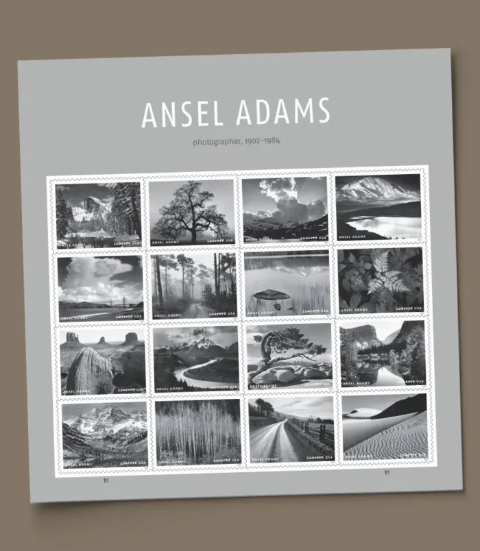 Bohu2goLcHIP10Taa8W7rWhGXEbua1AMTfW6OQzk