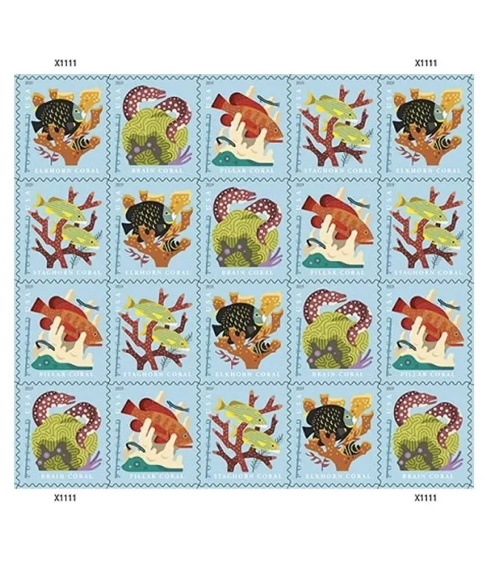 CoralReefs2019-2-5ba9c63e-9c15-48fc-8922-1db82c75002d-_2 CoralReefs2019-2-5ba9c63e-9c15-48fc-8922-1db82c75002d-_2