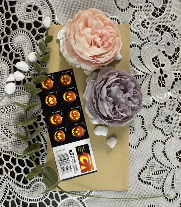 IMG_5834-scaled IMG_5834-scaled