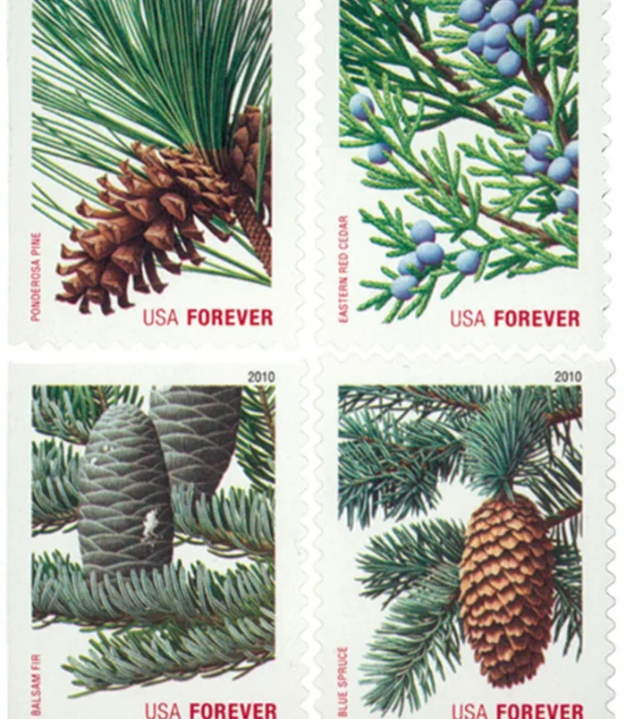 USA-4478-81__99027.1711086224 USA-4478-81__99027.1711086224