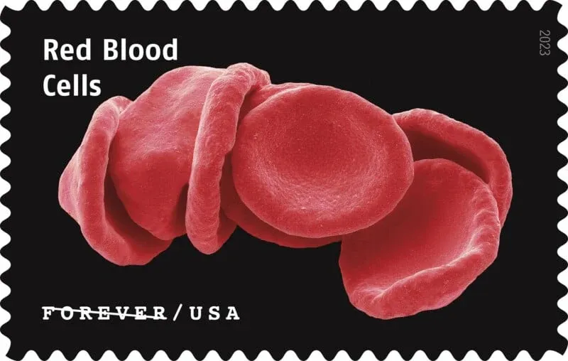 USPS23STA030E-800x508 USPS23STA030E-800x508