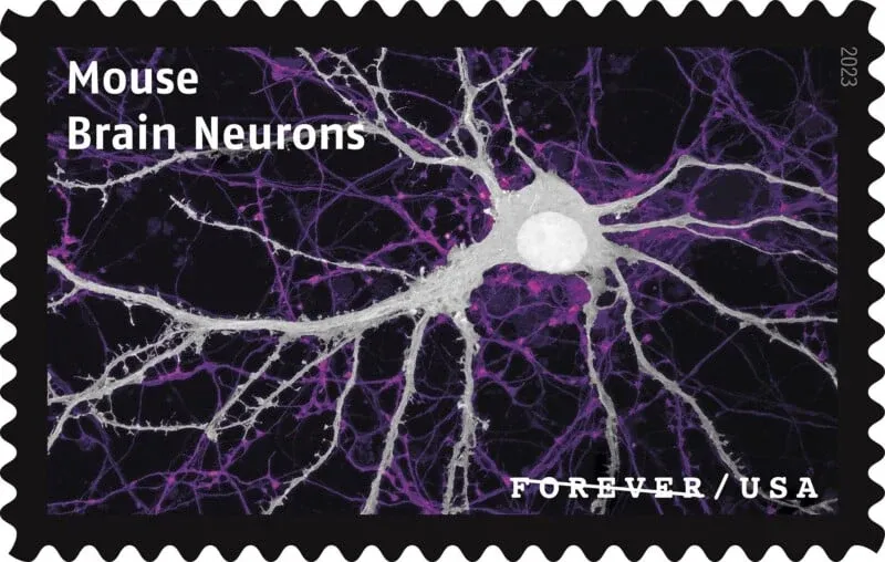 USPS23STA030H-800x508 USPS23STA030H-800x508