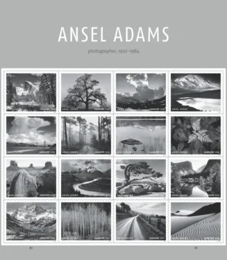 Ansel Adams 2024
