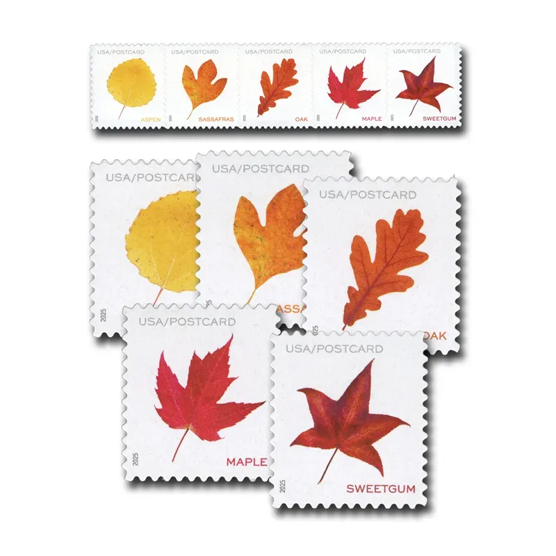 imgi_112_-21 imgi_112_-21