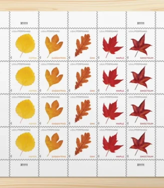 2025 Vibrant Leavea Postcard Forever First Class Postage Stamps