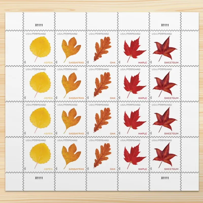 imgi_139_-20_900x imgi_139_-20_900x